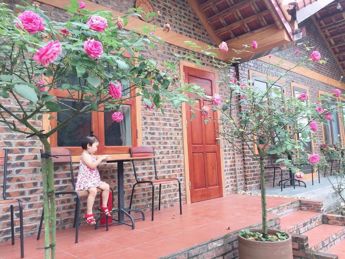 Tam Coc Tropical Homestay Ninh Binh
