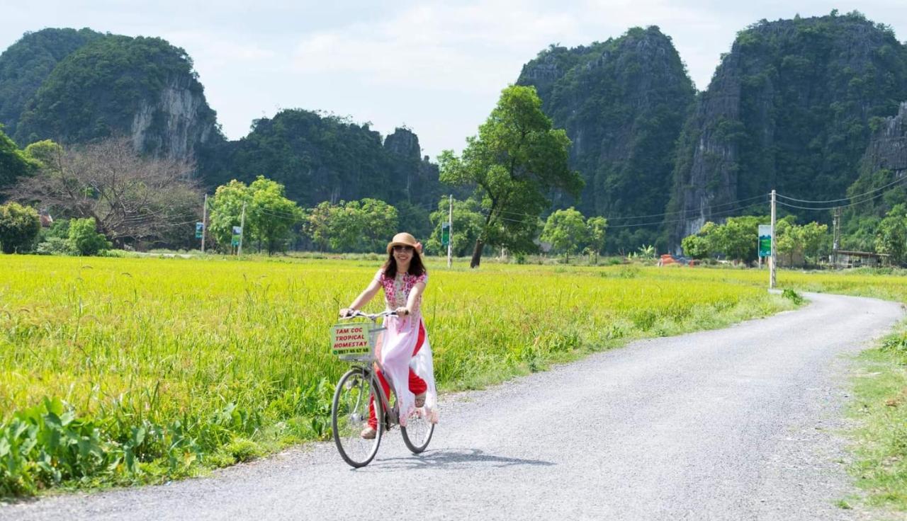 Tam Coc Tropical Homestay Ninh Binh