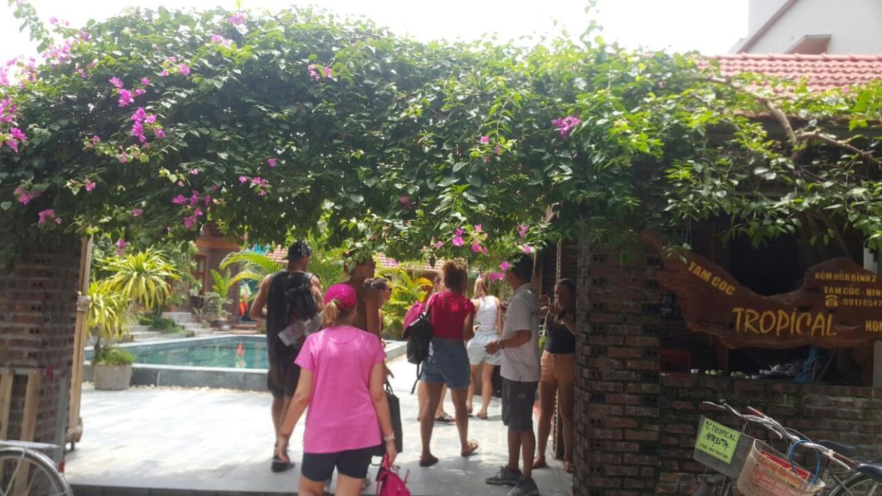 Tam Coc Tropical Homestay Ninh Binh