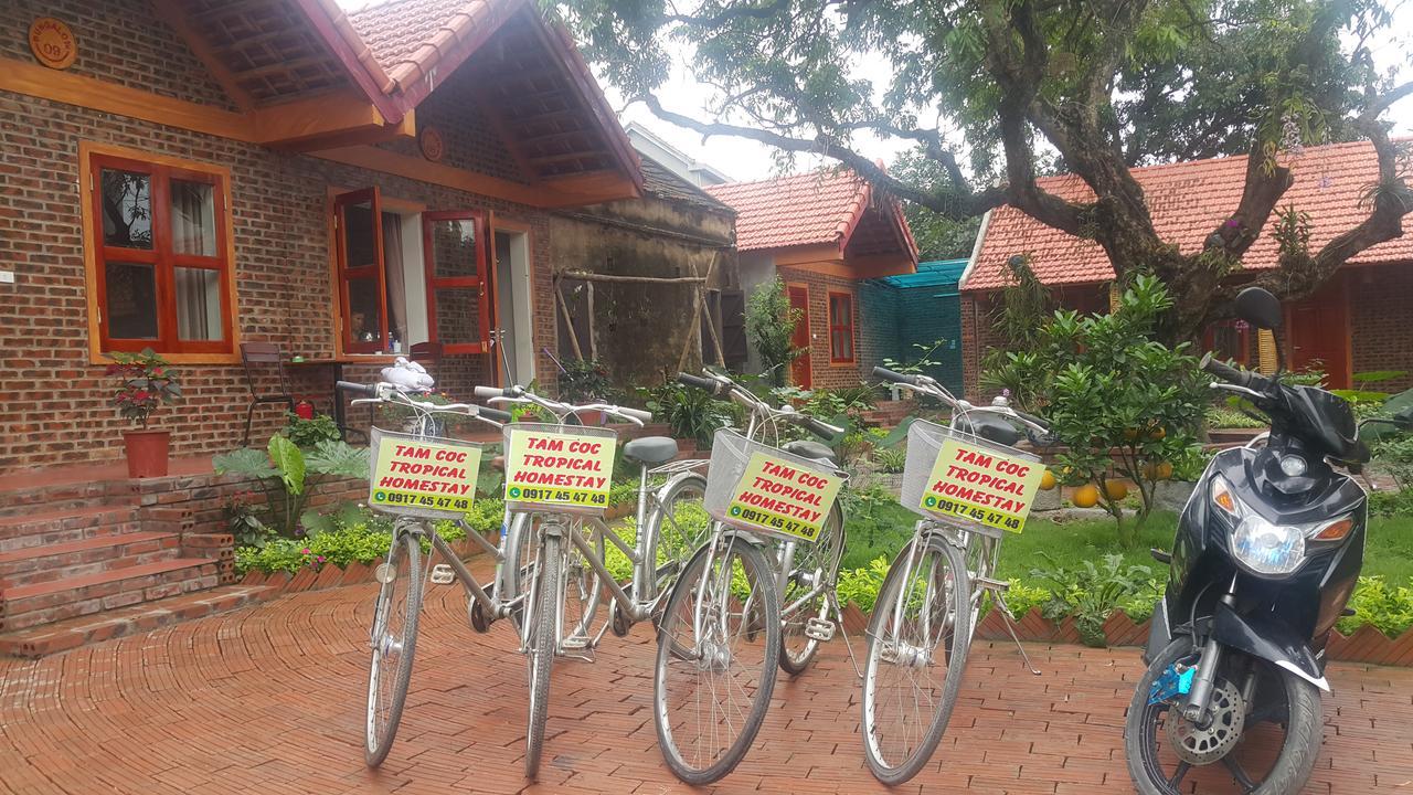 Tam Coc Tropical Homestay