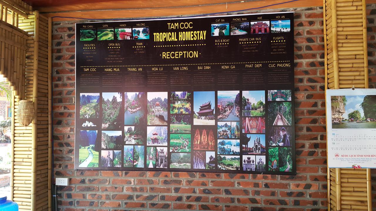 Tam Coc Tropical Homestay *